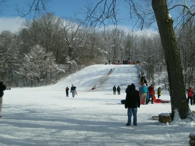 雪が降ったら公園へ行こう【アメリカ】