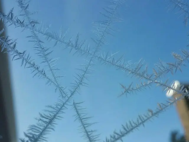 雪が降ると暖かい？！【カナダ】