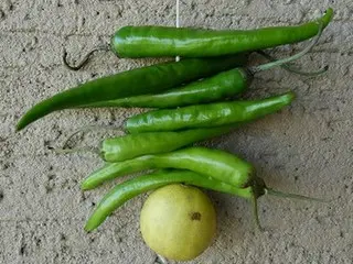 落ちていても踏んじゃだめ!!　これなーんだ？【インド】