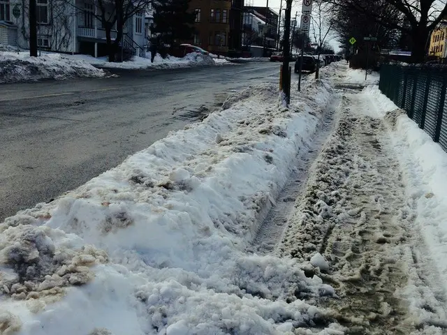 除雪してもどんどん積もる、雪国道路事情【カナダ】