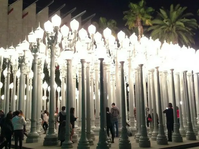 無料で綺麗な写真が撮影できるLACMA【アメリカ】