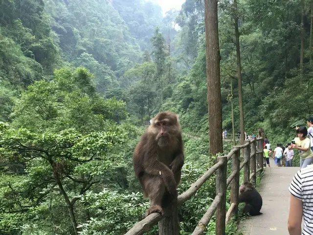 四川省の世界遺産、峨眉山(峨嵋山)に足を向ける　-part1-【中国】