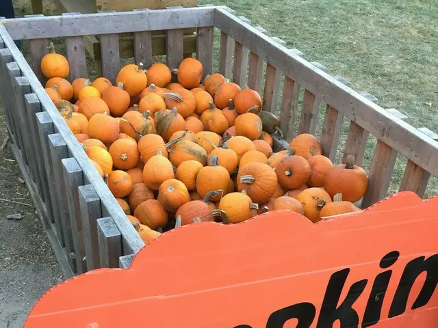 カナダの2大イベントと言えば!ハロウィンと・・・【カナダ】