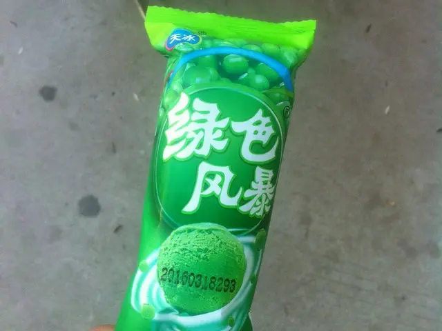 中国の夏の定番、緑豆のアイスキャンディー【中国】