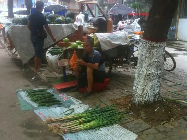 安くて新鮮、路上で売られている野菜【中国】