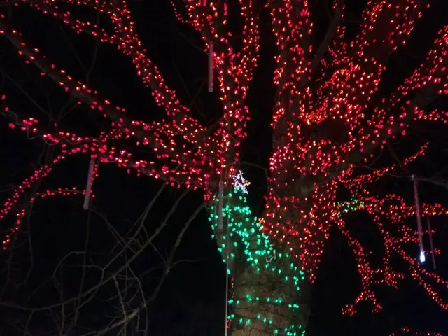 クリスマスイルミネーションINスタンレーパーク【カナダ】