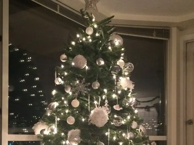 ホームデコレーションATクリスマス【カナダ】