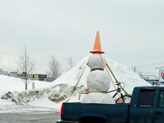 子供は大喜び!カナダの吹雪【カナダ】