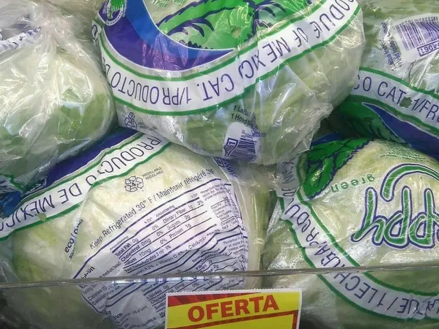 メキシコの生野菜　どんなものが安全？【メキシコ】
