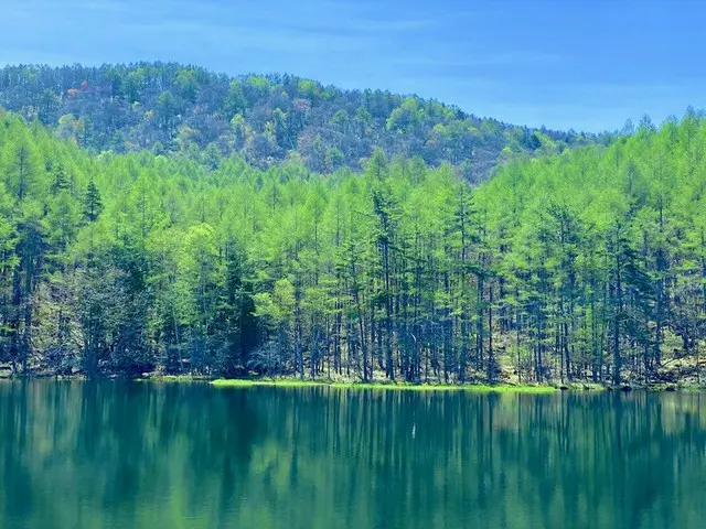 東山魁夷「緑響く」のモチーフ、CMのロケ地にもなった長野県茅野市「御射鹿池」【編集部ブログ】