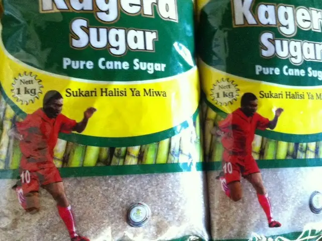 サッカーチームを持つ製糖会社「カゲラ製糖」【タンザニア】