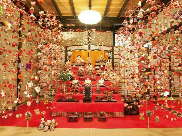 【3月ベストシーズンの国内旅行先】深大寺「だるま市」・田縣神社の珍祭「豊年祭」・高知市「おきゃく」など3月の祭り・イベント5選