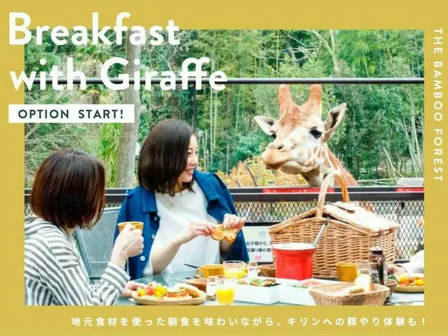 キリンと一緒に朝食を楽しめる！？大人気プランを再開【動物園×グランピングのTHE BAMBOO FOREST】
