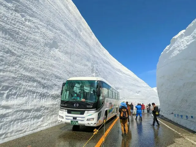 2023年の高さは13m！迫力ある雪の壁の間を歩く「雪の大谷ウォーク」が開催中