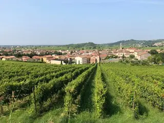 イタリアの白ワインで有名な町ソアーヴェ【イタリア】