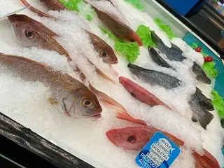 ダーウィンの鮮魚販売店【オーストラリア】