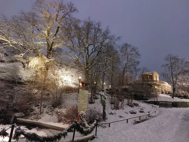 冬のストックホルムで雪と光のコラボレーションを楽しむ【スウェーデン】