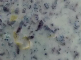 ジャックフルーツの甘くて美味しいデザート【オーストラリア】
