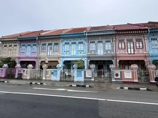 レトロ可愛い！パステルカラーのプラナカンハウス【シンガポール】