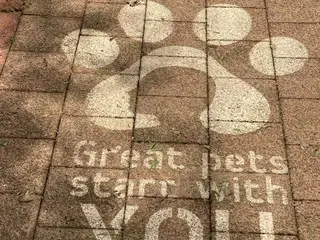 市内にある大きな公園【オーストラリア】