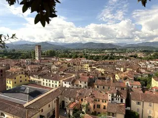 屋上に木が生えているルッカの塔とは？【イタリア】