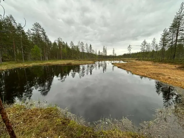 蚊の大群がハンパじゃなかった！フィンランドのラップランド【フィンランド】
