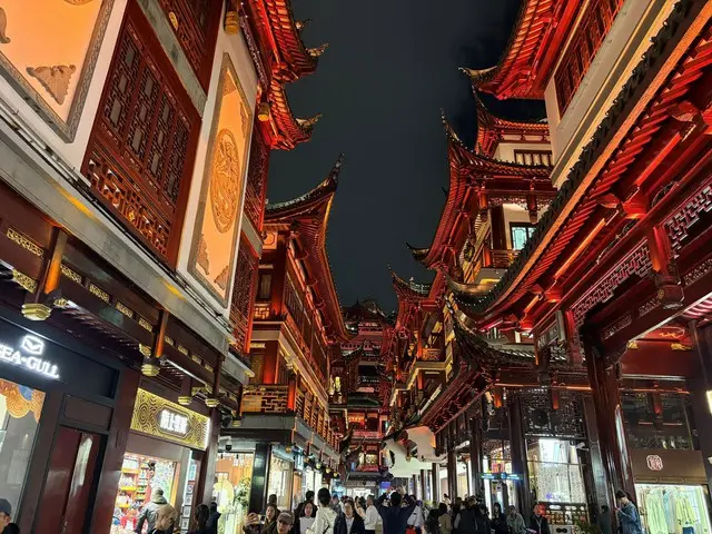 幻想的な雰囲気に包まれる夜の豫園【中国】