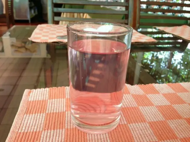 ピンクの水の正体は、アーユルヴェーダ的ドリンクだった【インド】